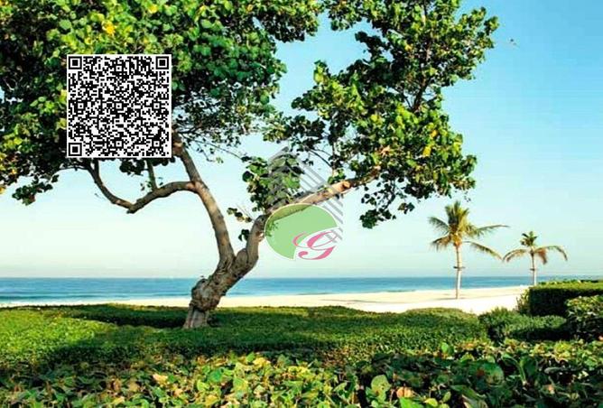 15623531 - Property Image 2