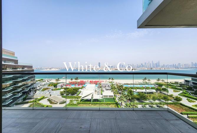 15537056 - Property Image 2