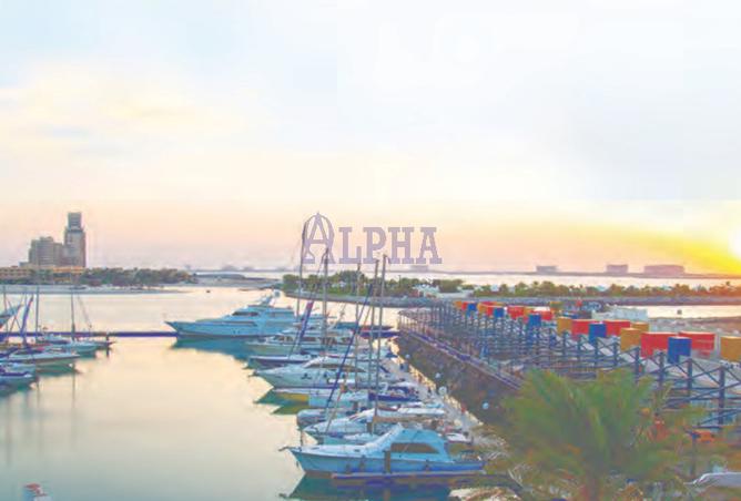 15500692 - Property Image 3