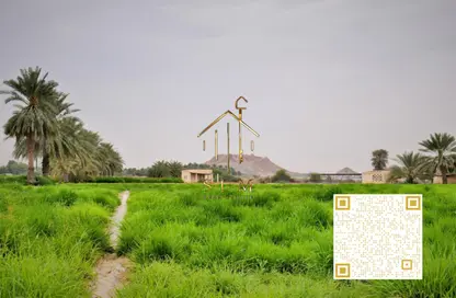 Land - Studio for sale in Manama - Ajman