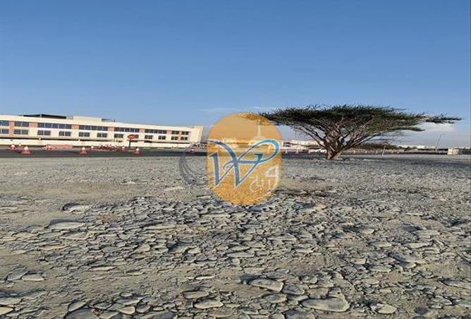 13637303 - صورة العقار 2