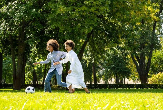 15974011 - صورة العقار 2