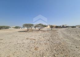 صورةمنظر مائي. لـ: أرض للبيع في سيح العريبي - رأس الخيمة, صورة 1