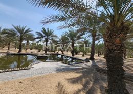 Farm for sale in Al Khawaneej - Dubai