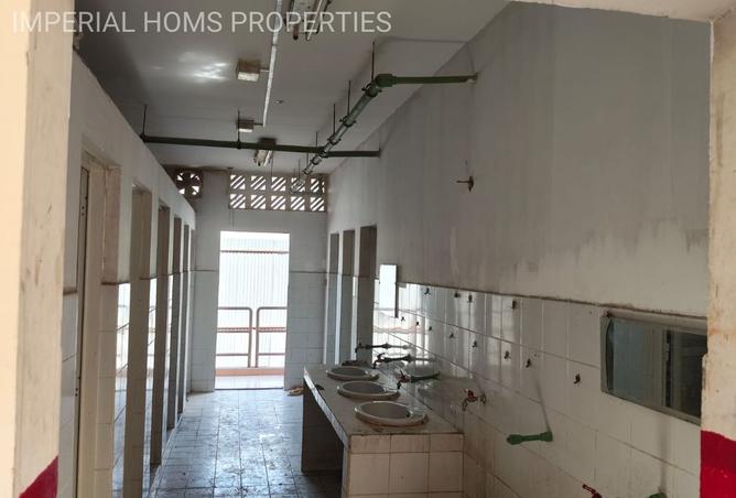 15556816 - Property Image 3