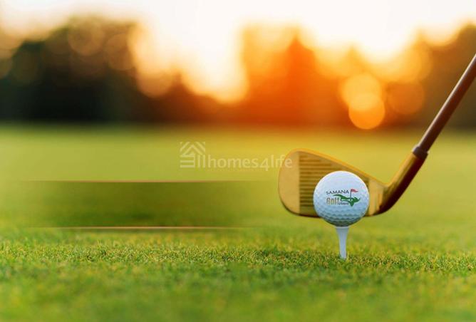 15946648 - Property Image 3