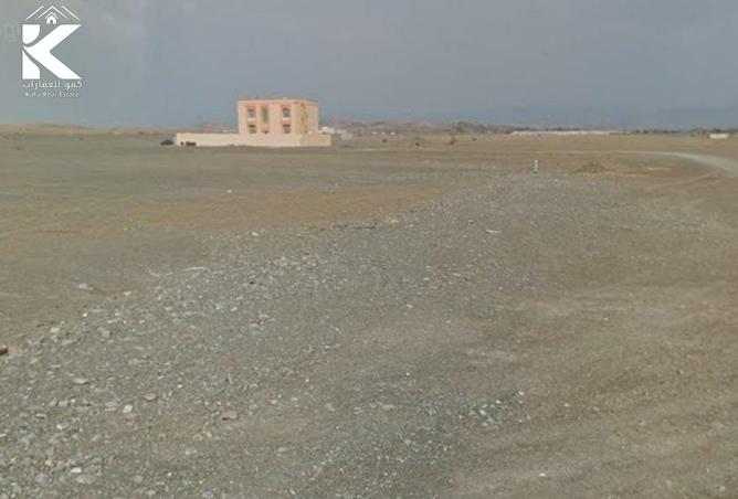 15887931 - Property Image 3