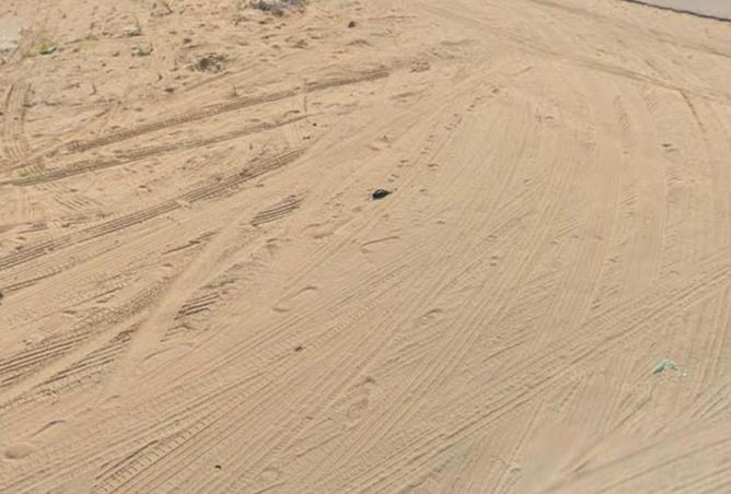 15690544 - Property Image 2