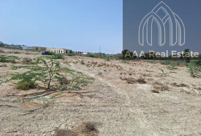 15167557 - صورة العقار 3