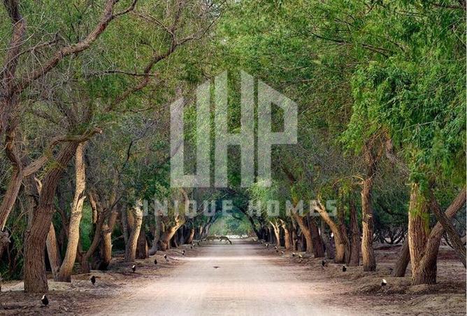 15595439 - صورة العقار 3