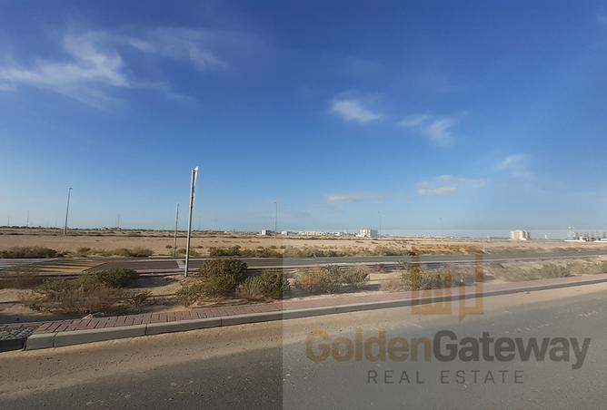 14216539 - Property Image 3