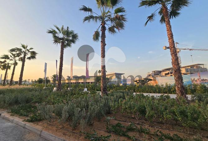 15628711 - Property Image 3