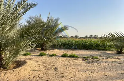 مزرعة - استوديو للبيع في العجبان - أبوظبي
