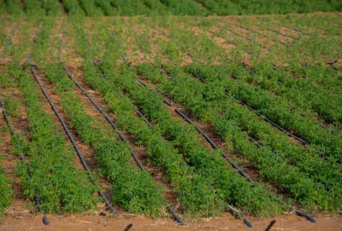 15771610 - صورة العقار 2