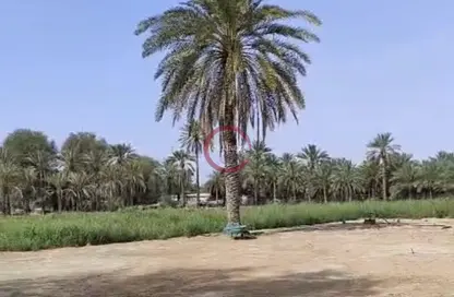 مزرعة - استوديو للبيع في الهير - العين