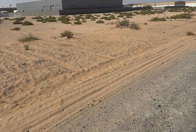 15664351 - Property Image 2