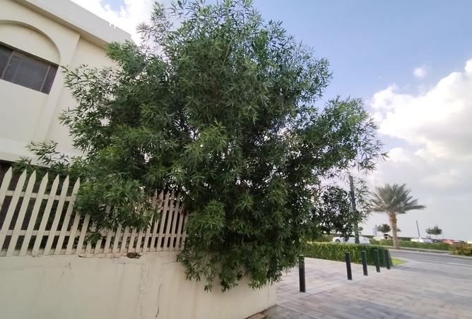 15953067 - Property Image 3