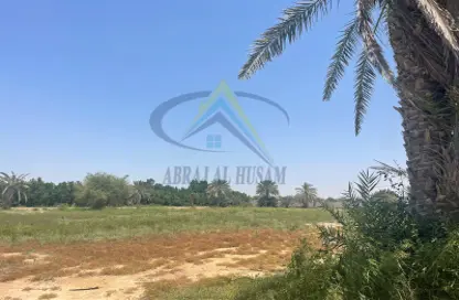 مزرعة - استوديو للبيع في كيزاد - السمحة - أبوظبي