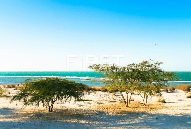 15804093 - صورة العقار 3