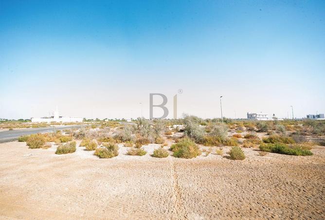 15824029 - Property Image 3