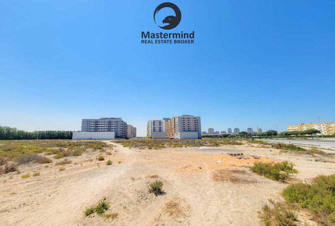 15353275 - Property Image 3