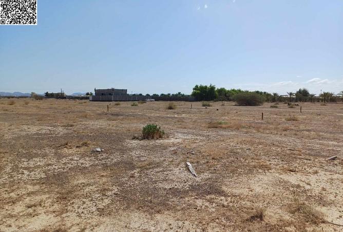 15646580 - Property Image 3