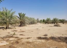 مزرعة فيها نخل وزراعة وليمون وخزان ماء وسكن