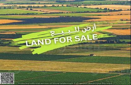 أرض - استوديو للبيع في الجرف الصناعية 3 - الجرف الصناعية - عجمان