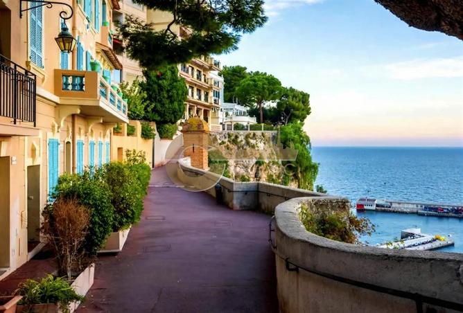 15873992 - صورة العقار 3