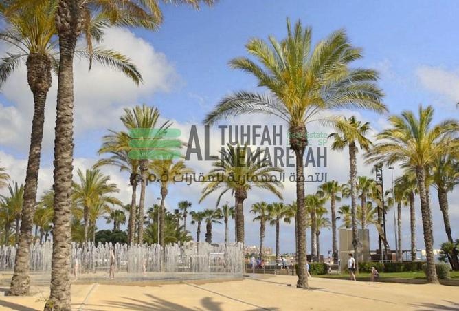 15653162 - Property Image 3