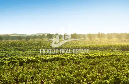 Farm - Studio for sale in Liwa - Abu Dhabi