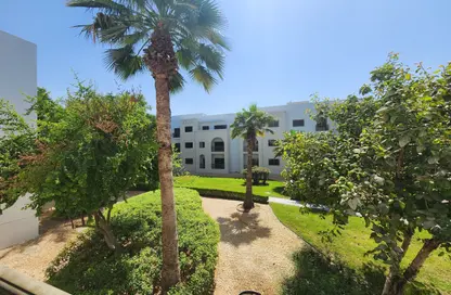 Apartment - 2 Bedrooms - 2 Bathrooms for rent in The Gardens Buildings - The Gardens - Dubai