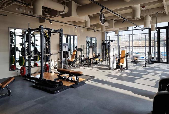 15506842 - Property Image 3