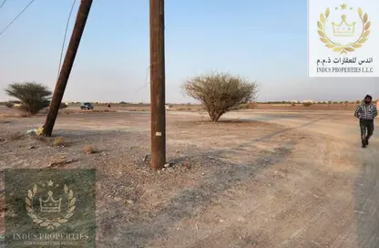 أرض - استوديو للبيع في المنامة - عجمان