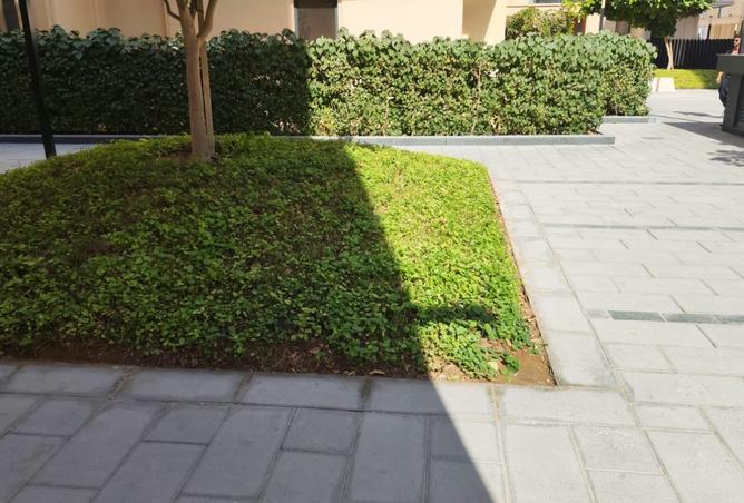 15799152 - صورة العقار 3