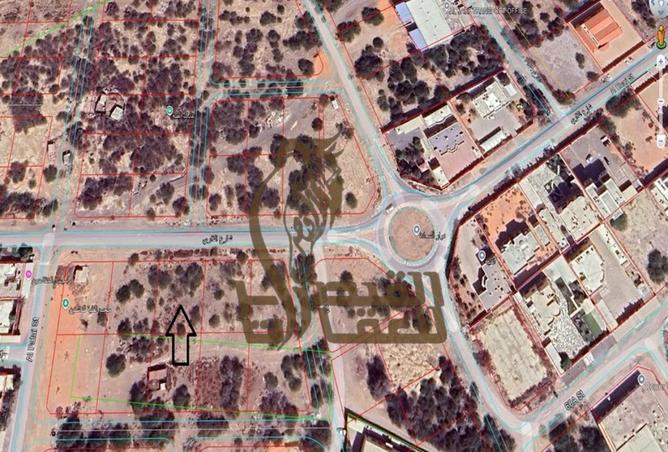 15581381 - Property Image 3