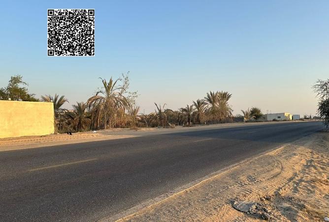 15978844 - صورة العقار 2