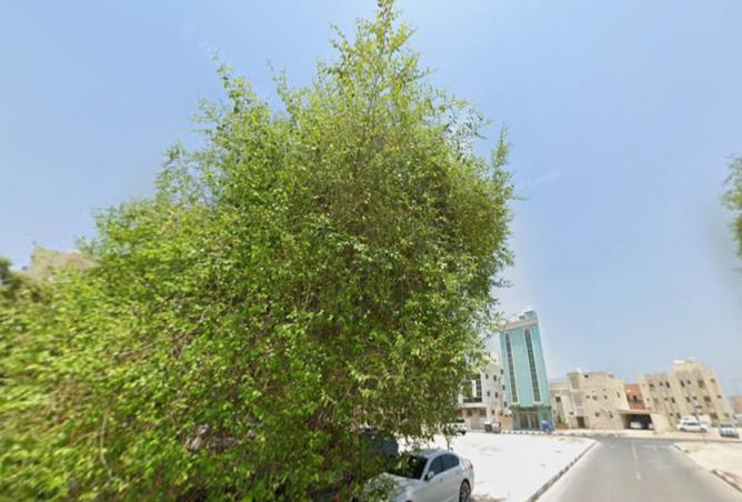 15606251 - Property Image 3