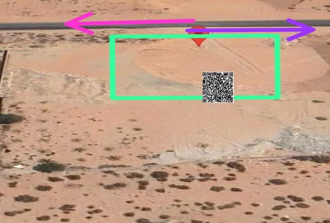 15555004 - Property Image 3