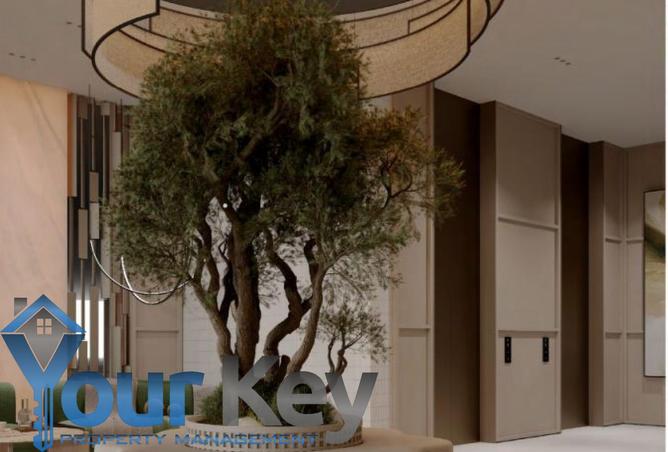 15593497 - Property Image 3