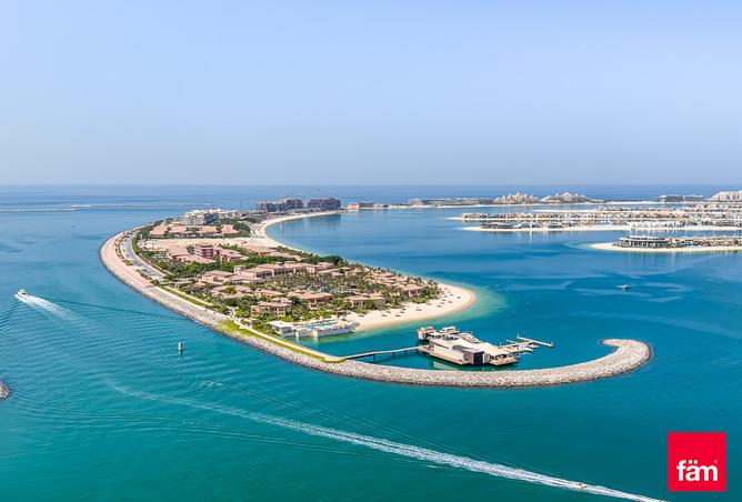 15993730 - Property Image 3