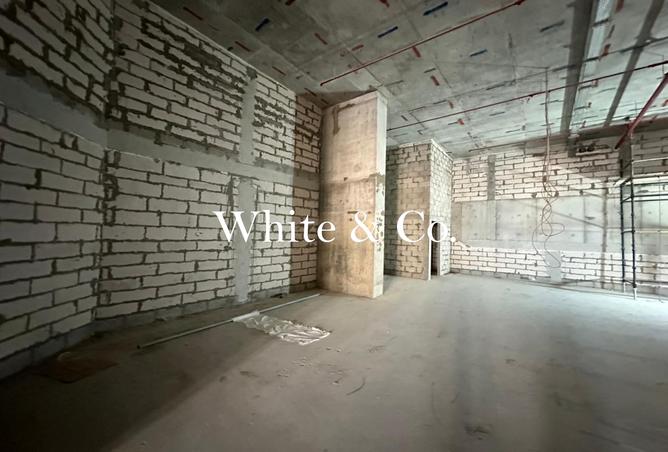 15679919 - Property Image 2