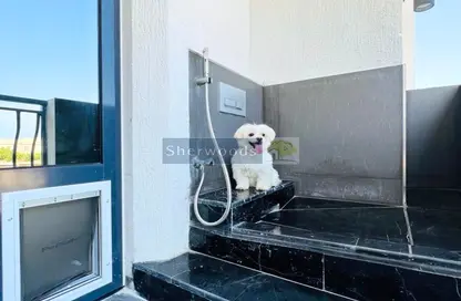 Details image for: Apartment - 1 Bathroom for rent in Khuzam - Ras Al Khaimah, Image 1