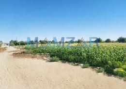 Farm for sale in Al Samha - Abu Dhabi