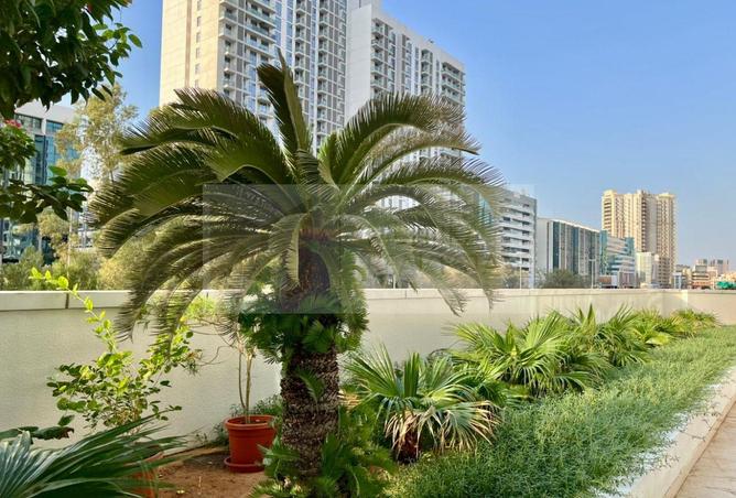 15382529 - صورة العقار 3