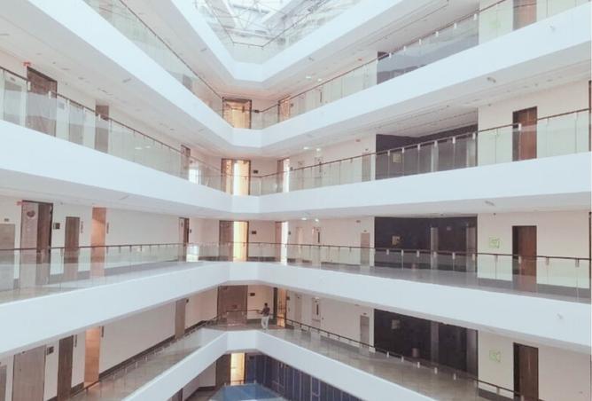 16062986 - Property Image 3