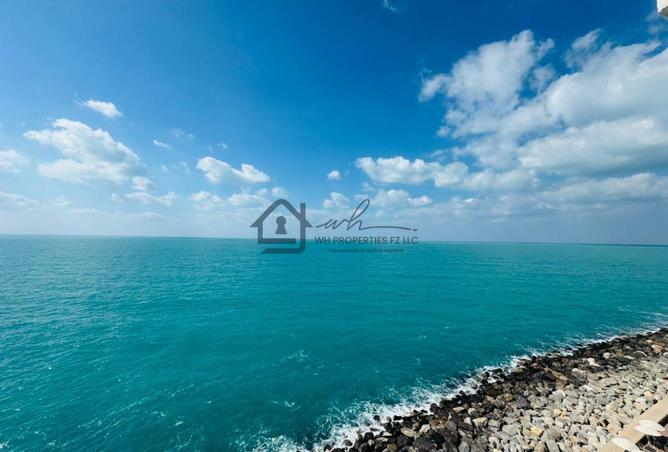 16106987 - Property Image 2