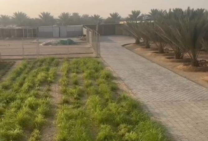 15571600 - صورة العقار 2