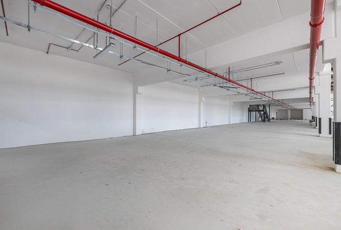 16014367 - صورة العقار 3