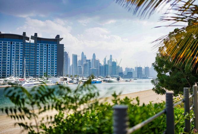 15949412 - صورة العقار 3